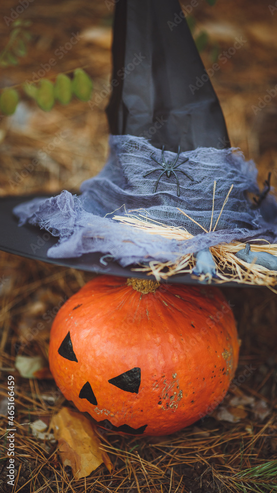Halloween layout. Halloween concept. Halloween decorations on forest background. Witch hat, pumpkin