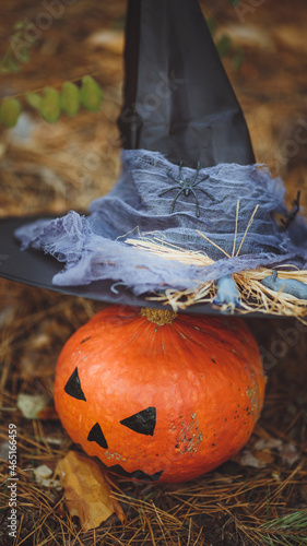 Obraz na płótnie Halloween layout. Halloween concept. Halloween decorations on forest background. Witch hat, pumpkin
w salonie