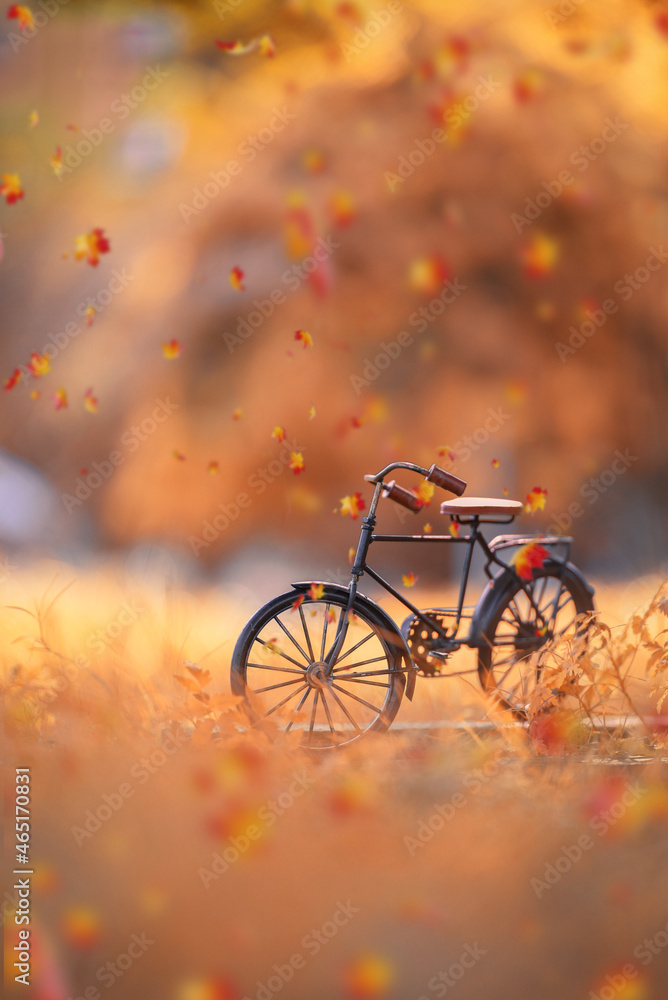 bicycle in autumn park