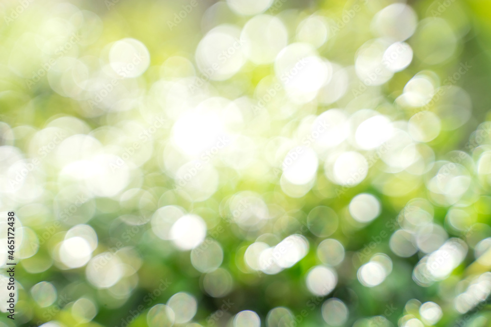 Bokeh leaf with sunlight, use for background. Bokeh leaf with sunlight, use for background.