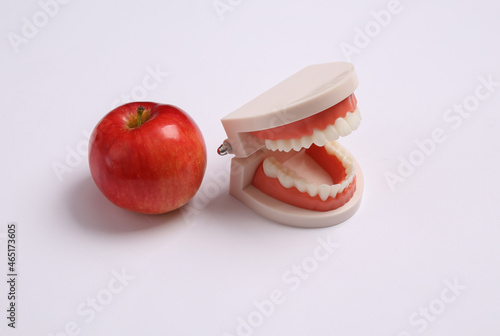 Human jaw model with red apple on white background