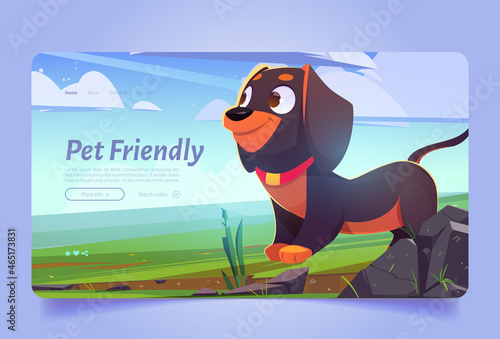 Pet friendly banner with cute dog on lawn. Vector landing page of allowed visit with domestic animals in hotel, restaurant or store. Cartoon illustration of funny puppy rottweiler on green grass