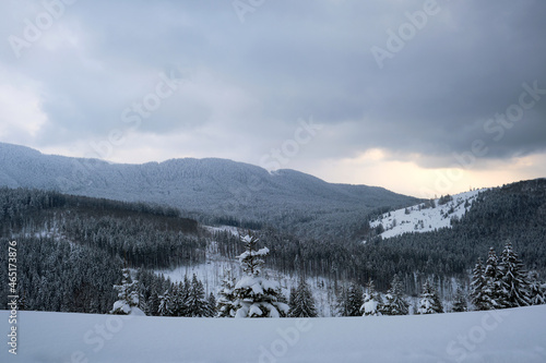 Wallpaper Mural Aerial view of winter landscape with mountain hills covered with evergreen pine forest after heavy snowfall on cold quiet evening. Torontodigital.ca
