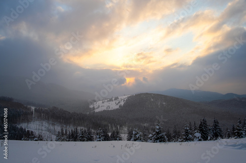 Amazing winter landscape with pine trees of snow covered forest in cold foggy mountains at sunrise.
