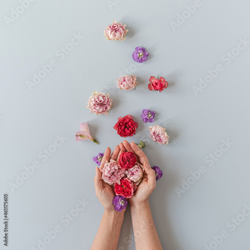 Flatlay of red and pink roses flowers in women\'s hand on blue background. Flat lay, top view minimalistic floral composition. Valentine\'s Day, Mother\'s Day concept.