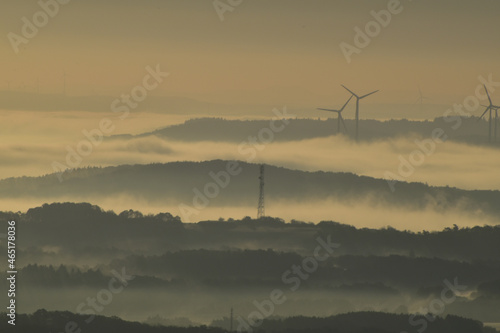 Herbstnebel im Nationalpark Hunsrück-Hochwald photo