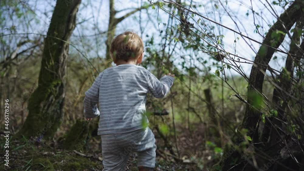 Toddler boy slow and steadily walks off to explore forest on sunny day Toddler boy slow and steadily walks off to explore forest on sunny day