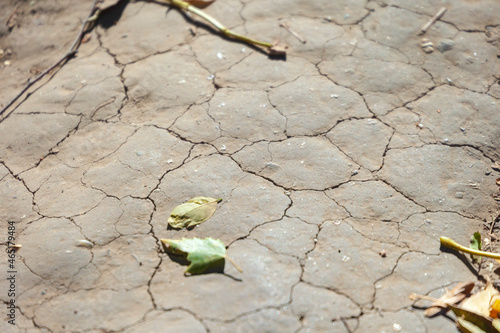 Dry cracked ground in the park in the shade