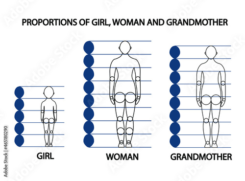 Woman Female Body Measurement Proportions for Clothing Design and Sewing Chart for Fashion Vector illustration
