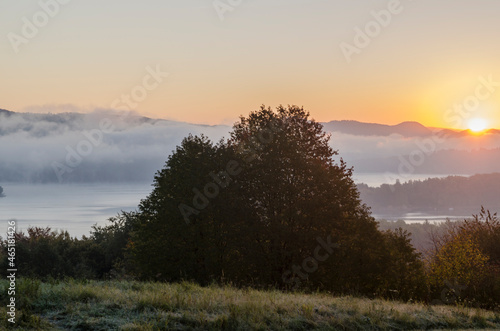 Fototapeta Naklejka Na Ścianę i Meble -  Poranne mgły - Bieszczady
