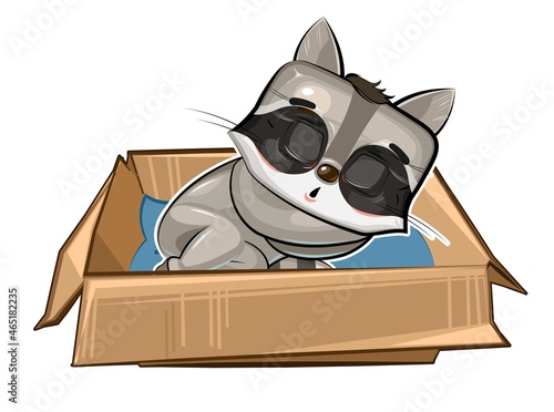 The Raccoon sleeps in a cardboard box. A pet as a gift or a homeless person. Childrens illustration. The cute animal fell asleep. Picture in cartoon style. Isolated on white background. Vector