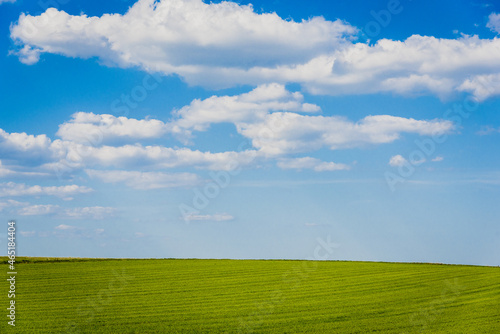 paysage d'un pré vert, d'un ciel bleu et de jolis nuages blancs. Un paysage de campagne en été. Un champ en été photo