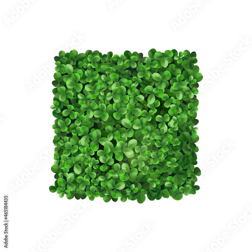 Realistic Clover Grass Composition