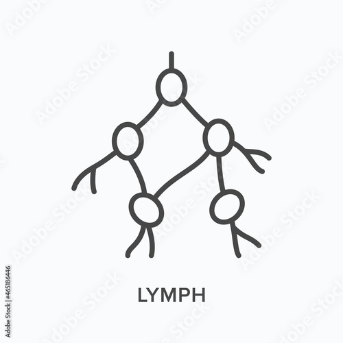 Lymph flat line icon. Vector outline illustration of human anatomy. Black thin linear pictogram for lymphatic system