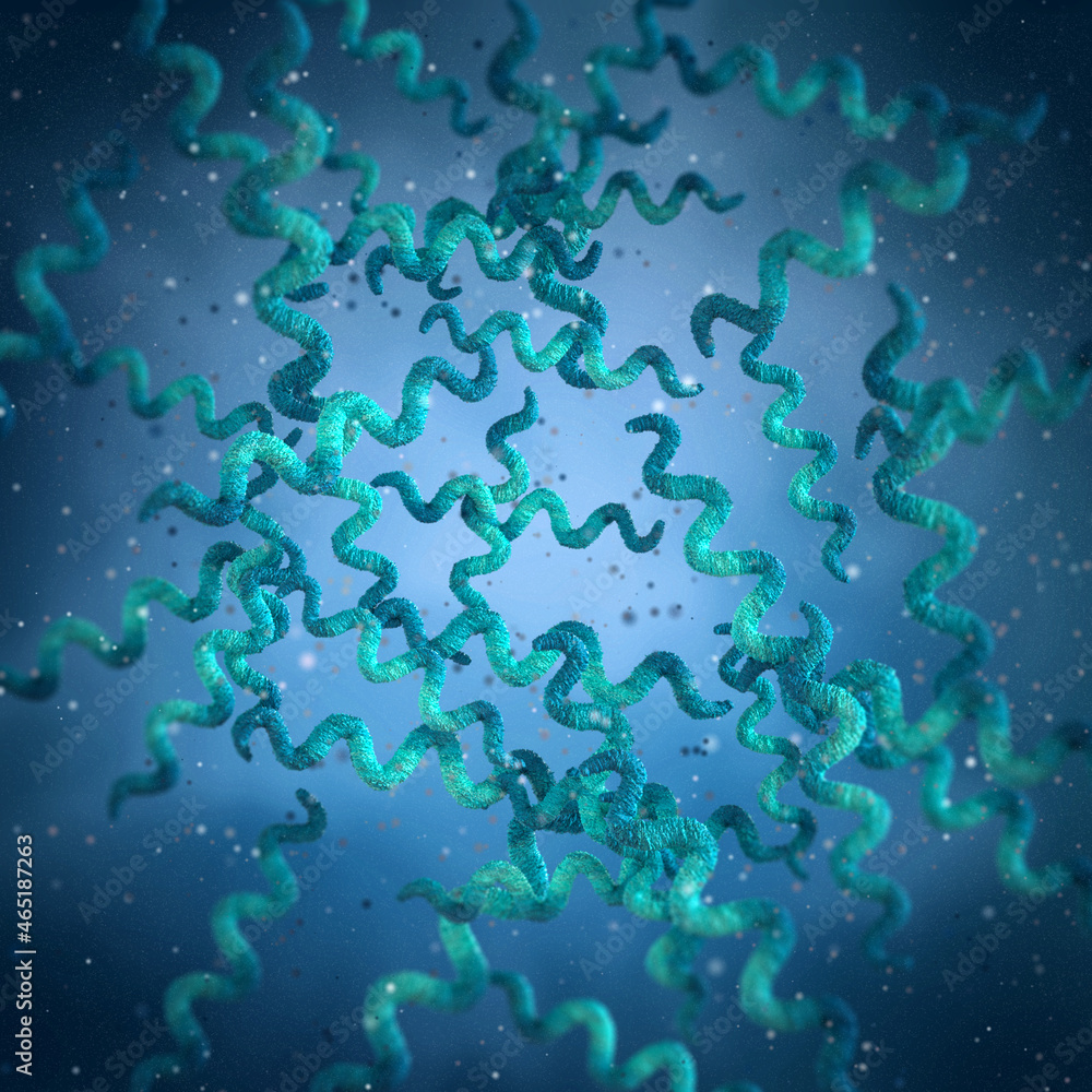 Medical background, bacteria spirilla spirally twisted and arcuate curved rods, class Beta