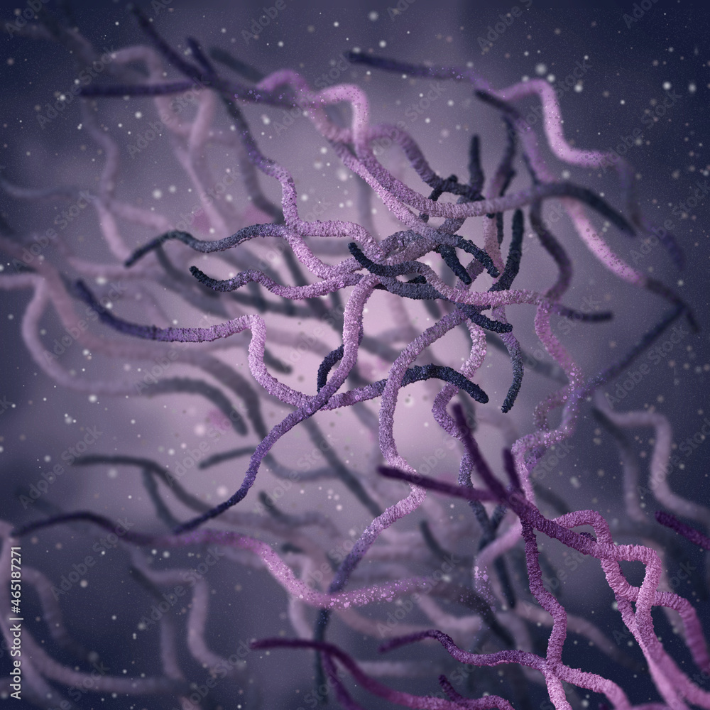 Medical background, bacteria spirilla spirally twisted and arcuate curved rods, class Beta