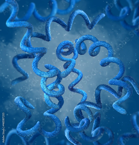Medical background, bacteria spirilla spirally twisted and arcuate curved rods Beta-proteobacteria aerobes or microaerophiles, Spirillum volutans saprophyte found in stagnant fresh water, 3D rendering photo