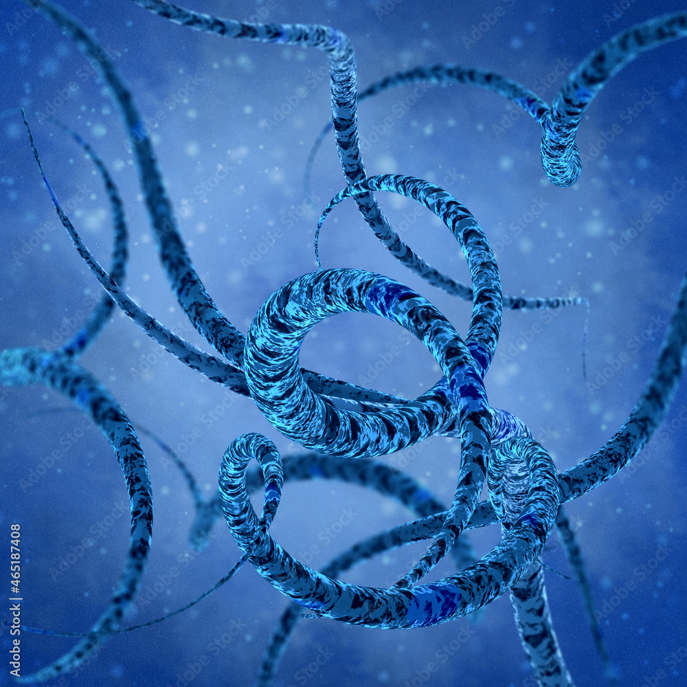 Medical background, bacteria spirilla spirally twisted and arcuate curved rods, class Beta