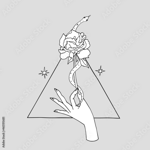 Vintage Mystic hand holding rose with a snake coiled around the flower with triangle on background Illustration