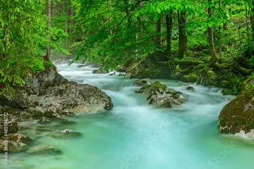 Scenic view of Ramsauer Ache river amidst green forest photo