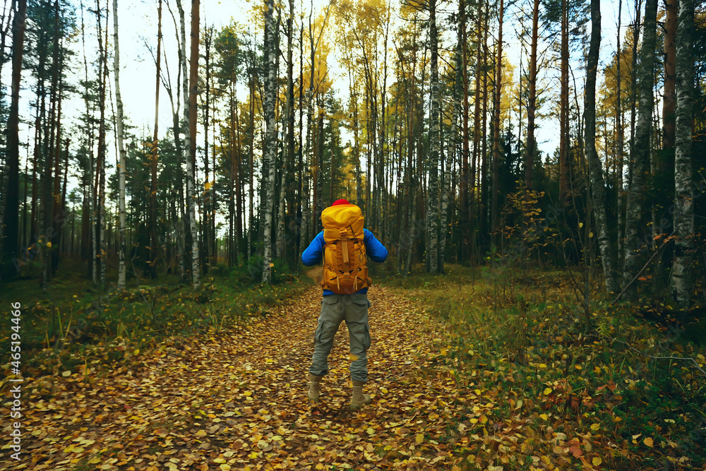 man with backpack a view from the back, hiking in the forest, autumn landscape, the back of tourist with a backpack man with backpack a view from the back, hiking in the forest, autumn landscape, the back of tourist with a backpack