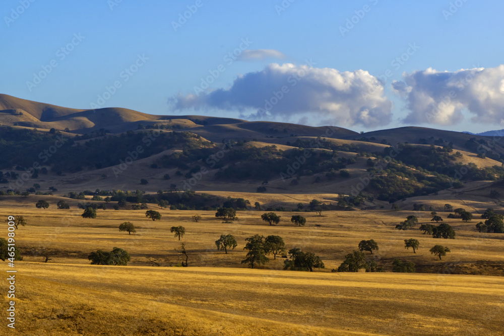 Obraz premium San Benito County Landscape