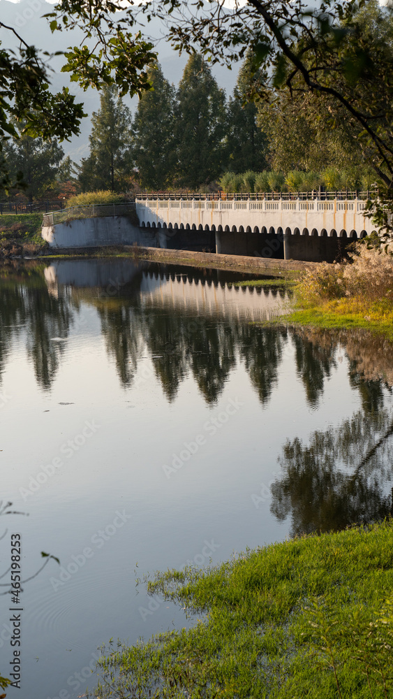 Obraz premium Beautiful scenery in the park