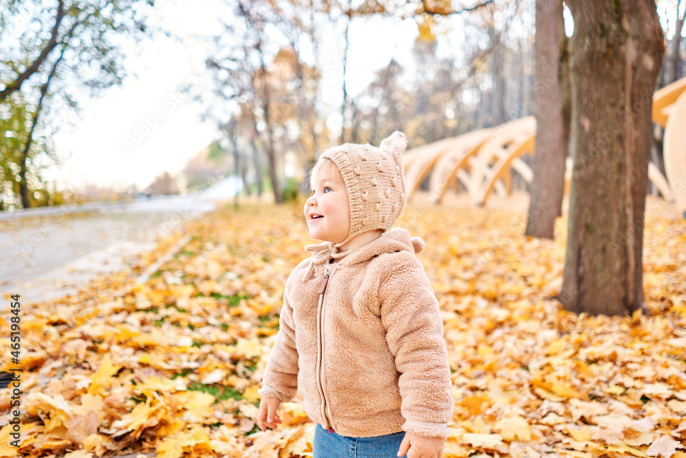 Yellow Autumn Park. Leaf fall and yellow leaves. Portraits of a cute 1 year old baby girl. sunny day. Yellow Autumn Park. Leaf fall and yellow leaves. Portraits of a cute 1 year old baby girl. sunny day.