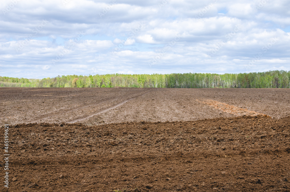 Preparation of the sowing area using soil harrowing Preparation of the sowing area using soil harrowing