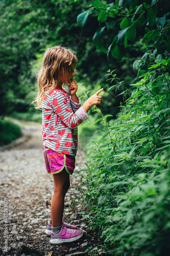 Girl counting Urtica dioica plant in forest photo