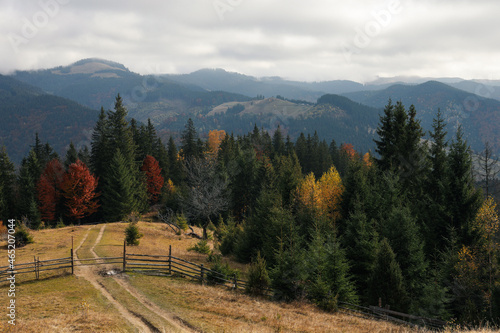 Beautiful view of mountain landscape with forest, pathway and fence on sunny autumn day