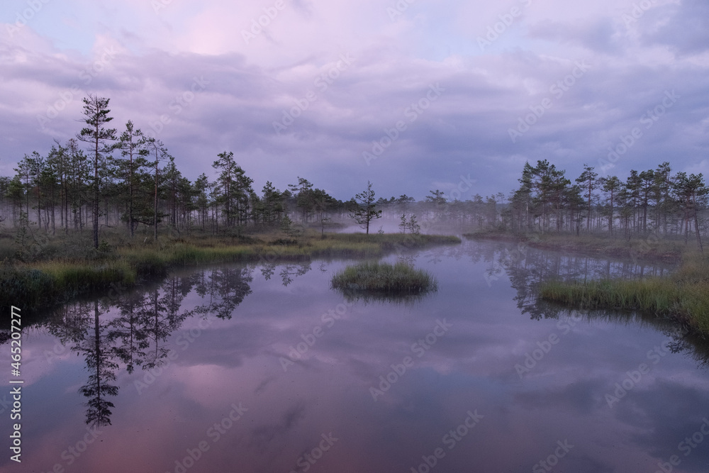 Fototapeta premium Misty Sunrise