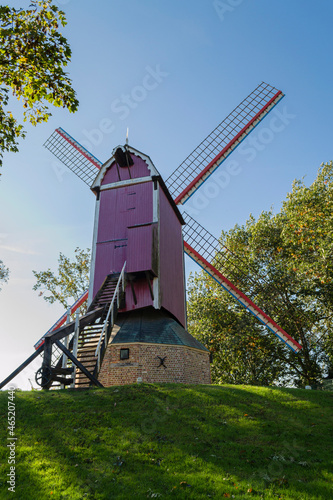 De Nieuwe Papegaai, l'un des 4 derniers moulins de Bruges datant de 1709 photo