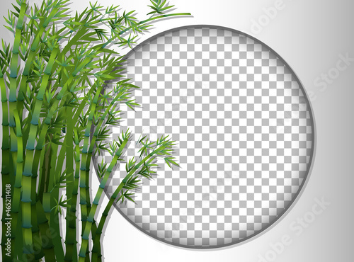 Round frame transparent with bamboo template