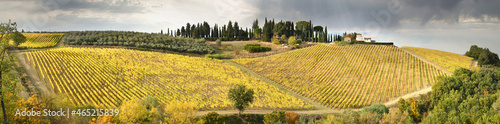 Panoramic view of beautiful rows of yellow vineyards in the Chianti region near San Casciano in Val di Pesa. Autumn season in October. Italy.