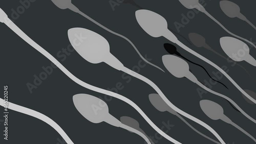 Sperm Swimming. A group of sperm flows towards the cell in the space of the organism, the visual concept of fertilization, the film is looped. photo