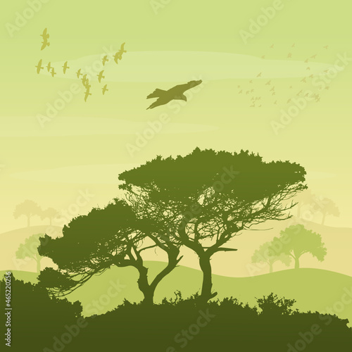 Carta da parati Alberi - Carta da parati Natura degli alberi (green)