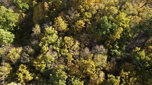 Autumn landscape of Cherna Gora (Monte Negro) mountain, Pernik Region, Bulgaria photo