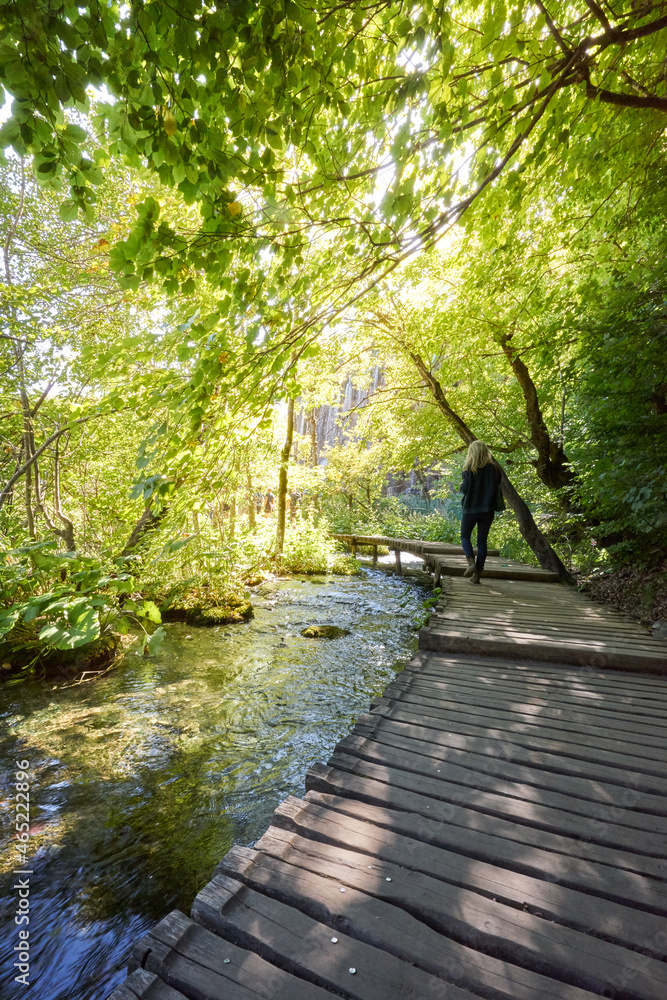 Obraz premium Plitvice Lakes National Park - One woman walking on wooden path