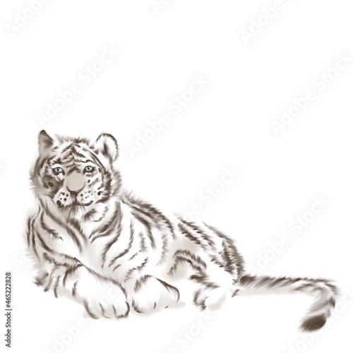 White tiger with blue eyes lying, watercolor isolated illustration
