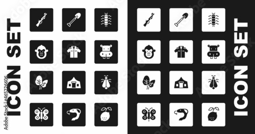 Set Centipede insect, Shirt, Monkey, Hunting gun, Hippo or Hippopotamus, Shovel, Mosquito and Tropical leaves icon. Vector