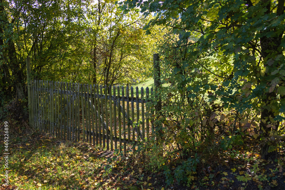Wooden fence in the autumn forest