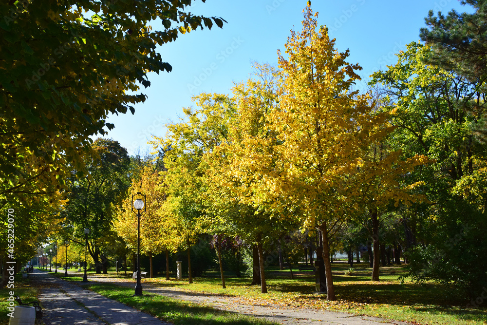Autumn in Karadjordjev Park Zrenjanin Serbia