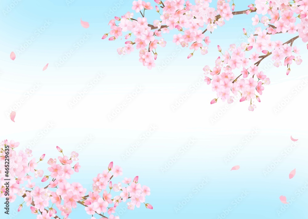 美しく華やかな桜の花と花びら舞い散る春の爽やか青空フレーム背景ベクター素材イラスト

