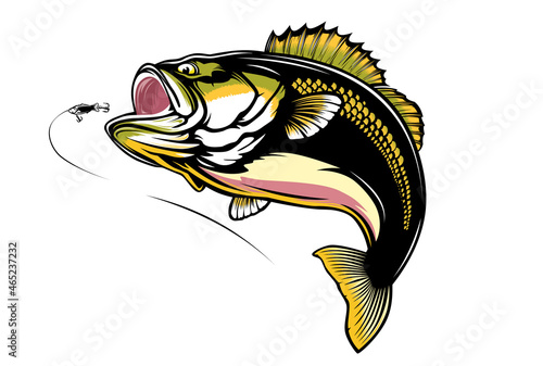 Fishing bass logo. Bass fish with rod club emblem. Fishing theme illustration. Fish Isolated on white. photo