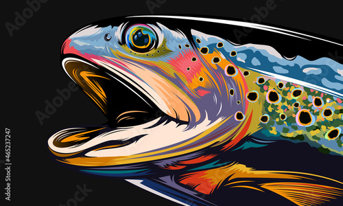 Rainbow trout jumping out water.Salmon isolated on white background. Concept art for horoscope, tattoo or colouring book.