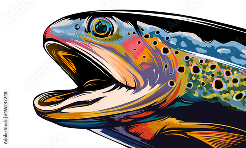 Rainbow trout jumping out water.Salmon isolated on white background. Concept art for horoscope, tattoo or colouring book.