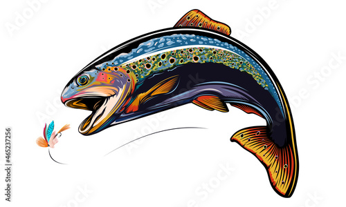 Rainbow trout jumping out water.Salmon isolated on white background. Concept art for horoscope, tattoo or colouring book.