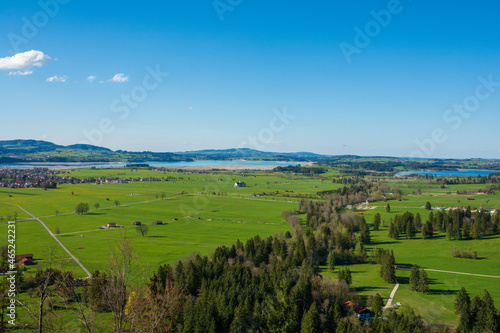 Schwangau is a municipality in the district of Ostallgäu in Bavaria, Germany. green land , views of the lake Forggensee