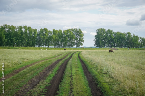 Simple village dirt road in Russia